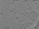 key visualization for TS_6_4