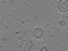 key visualization for TS_6_6
