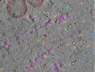 key visualization for TS_73_6