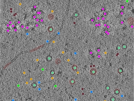key visualization for TS_86_3