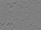 key visualization for TS_86_3