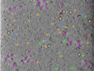 key visualization for TS_99_9