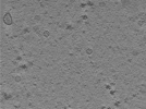 key visualization for TS_99_9