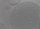 key visualization for 24aug01b_Position_1