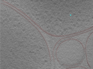 key visualization for 24aug01b_Position_10