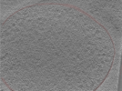 key visualization for 24aug01b_Position_10_4