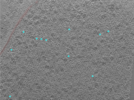 key visualization for 24aug01b_Position_12