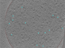 key visualization for 24aug01b_Position_15_5
