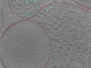key visualization for 24aug01b_Position_16_2