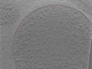 key visualization for 24aug01b_Position_1_2