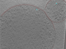 key visualization for 24aug01b_Position_1_4