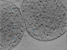 key visualization for 24aug01b_Position_1_5