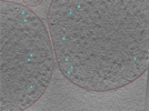 key visualization for 24aug01b_Position_1_5