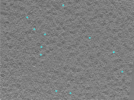 key visualization for 24aug01b_Position_20