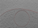 key visualization for 24aug01b_Position_20_2