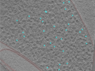 key visualization for 24aug01b_Position_20_3