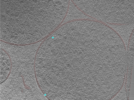 key visualization for 24aug01b_Position_21_2