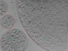 key visualization for 24aug01b_Position_23