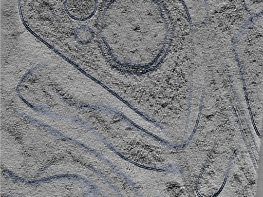 key visualization for 24sep24a_Position_119_2