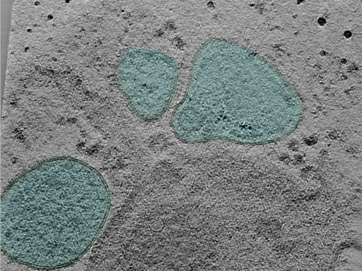 key visualization for 24apr23a_Position_12