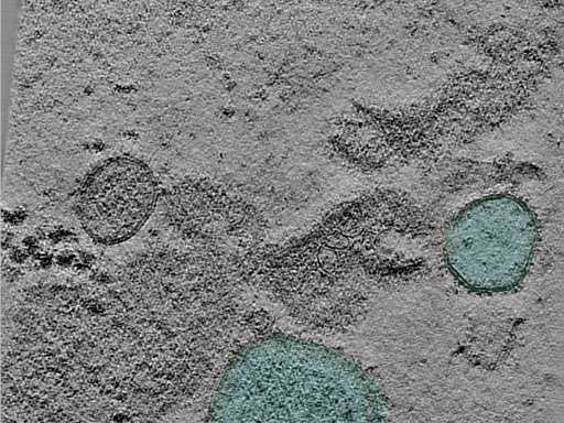 key visualization for 24apr23a_Position_14