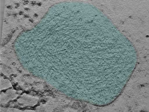 key visualization for 24apr23a_Position_19