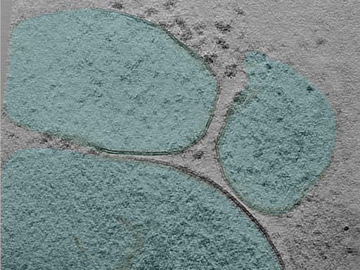 key visualization for 24apr23a_Position_20