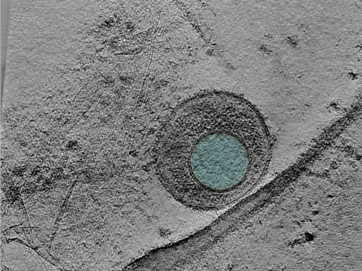 key visualization for 24apr23a_Position_22