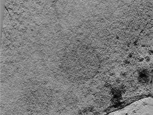 key visualization for 24apr23a_Position_25