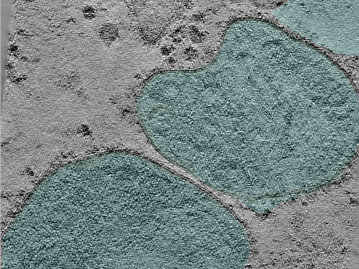 key visualization for 24apr23a_Position_29