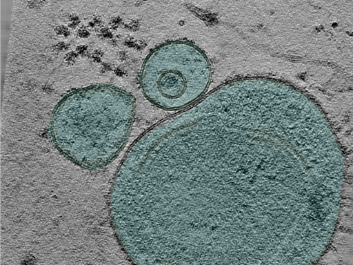 key visualization for 24apr23a_Position_32