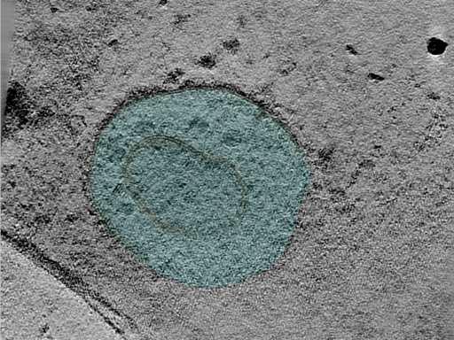 key visualization for 24apr23a_Position_37