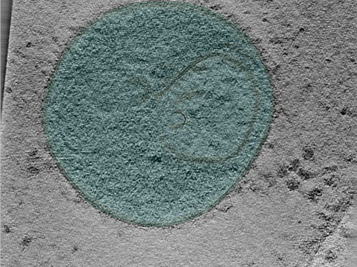 key visualization for 24apr23a_Position_39