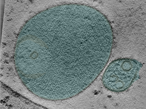 key visualization for 24apr23a_Position_41