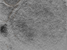 key visualization for 24apr23a_Position_44