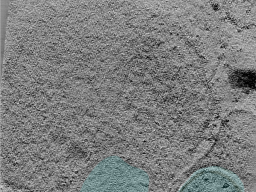 key visualization for 24apr23a_Position_44