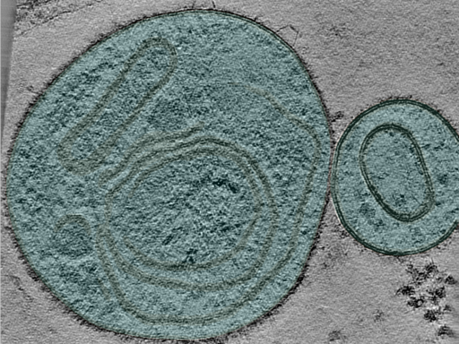 key visualization for 24apr23a_Position_45