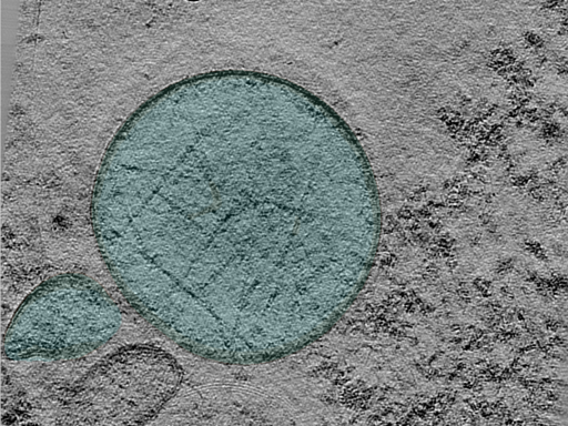 key visualization for 24may06a_Position_38_2