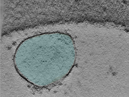 key visualization for 24may06a_Position_38_3