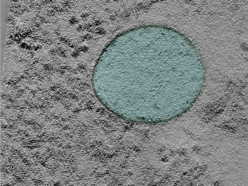 key visualization for 24may06a_Position_38_4