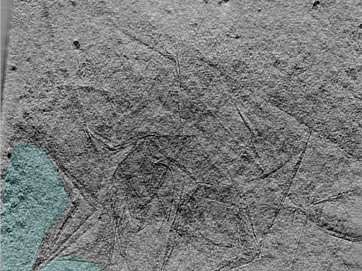 key visualization for 24may06a_Position_39