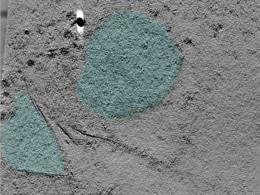 key visualization for 24may06a_Position_3_2