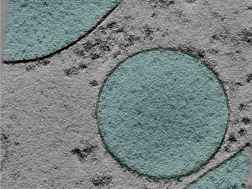 key visualization for 24may06a_Position_40_2