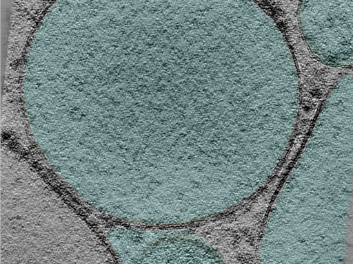 key visualization for 24may06a_Position_42