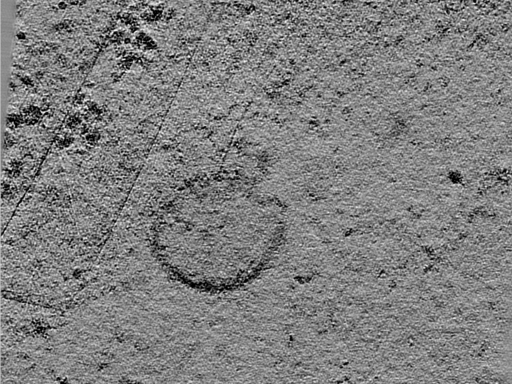 key visualization for 24may06a_Position_45