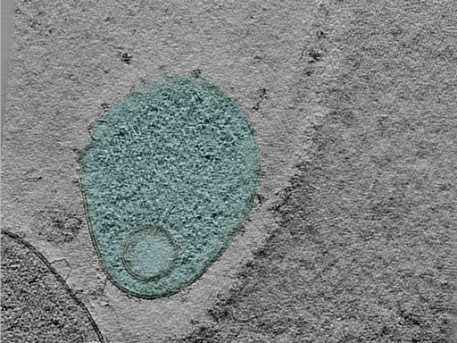 key visualization for 24may06a_Position_45_2