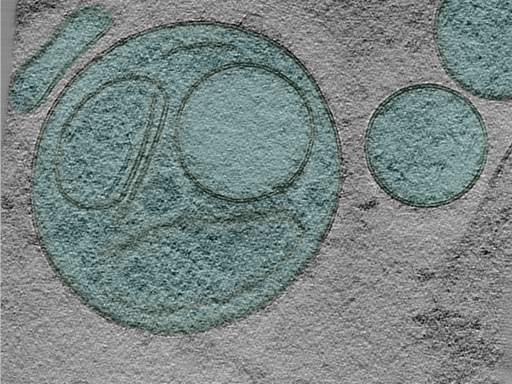 key visualization for 24may06a_Position_46_2