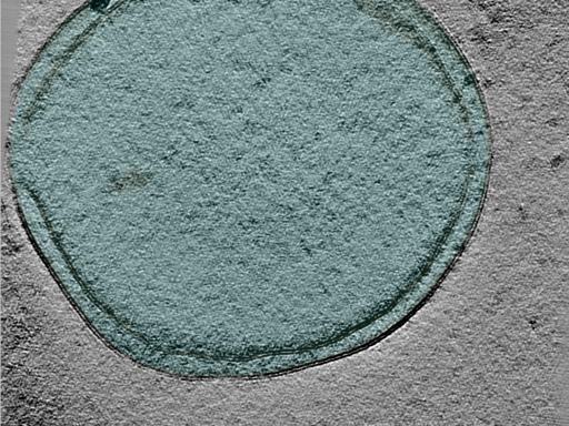 key visualization for 24may06a_Position_48_2