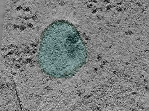 key visualization for 24may06a_Position_50