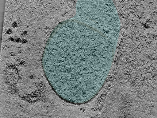 key visualization for 24may06a_Position_50_2